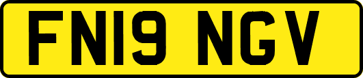 FN19NGV