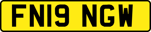 FN19NGW