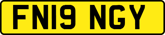 FN19NGY