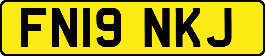 FN19NKJ