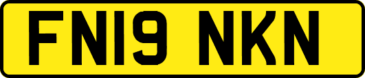 FN19NKN