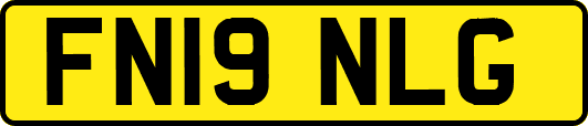 FN19NLG