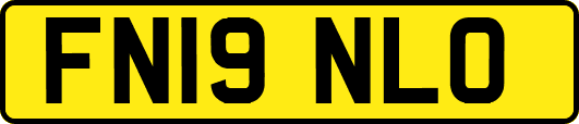 FN19NLO