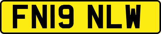 FN19NLW