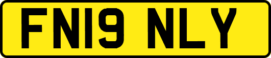 FN19NLY