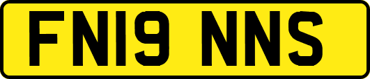 FN19NNS