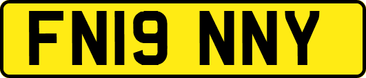 FN19NNY