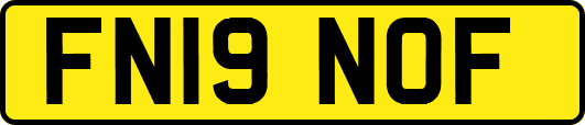 FN19NOF