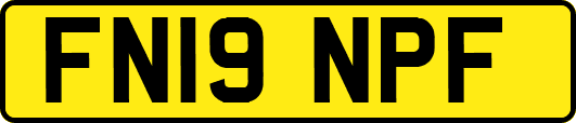 FN19NPF