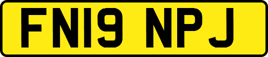 FN19NPJ