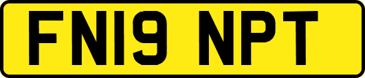 FN19NPT