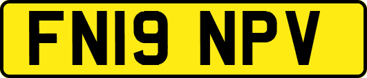 FN19NPV