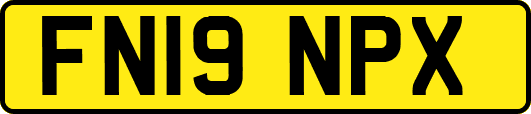 FN19NPX