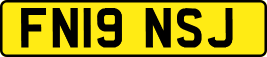 FN19NSJ