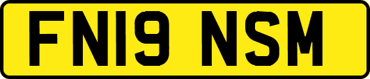FN19NSM
