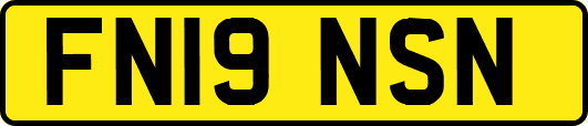 FN19NSN