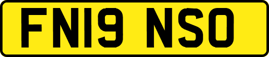 FN19NSO
