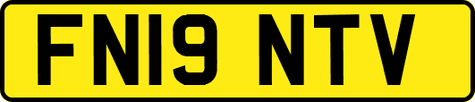 FN19NTV