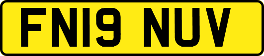 FN19NUV