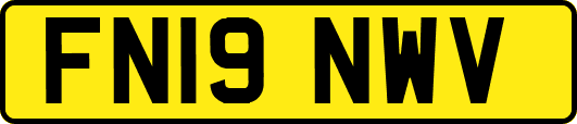 FN19NWV