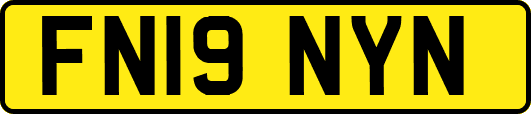 FN19NYN