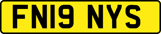 FN19NYS