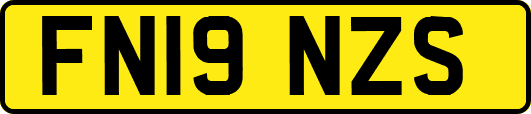 FN19NZS