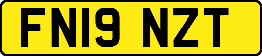 FN19NZT