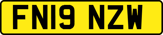FN19NZW