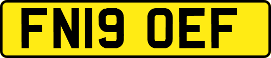 FN19OEF