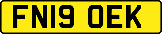 FN19OEK