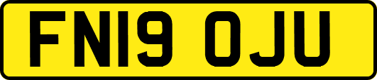 FN19OJU