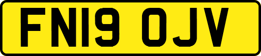 FN19OJV