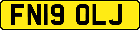FN19OLJ