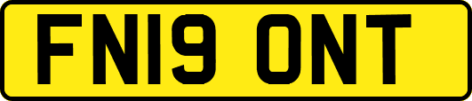 FN19ONT