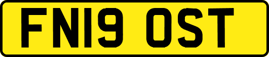 FN19OST