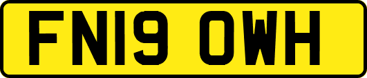 FN19OWH
