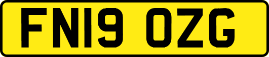 FN19OZG