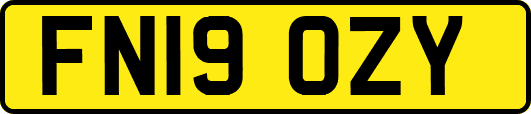 FN19OZY