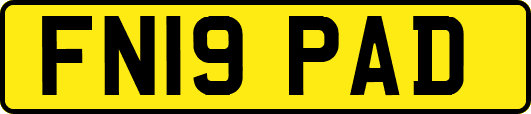 FN19PAD