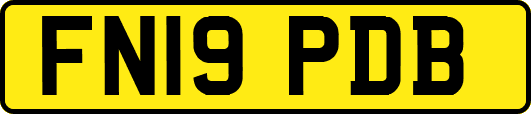 FN19PDB