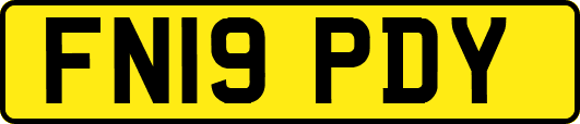 FN19PDY
