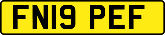 FN19PEF