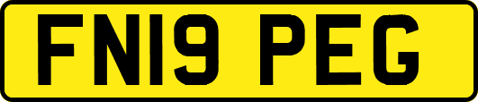 FN19PEG