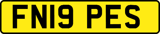 FN19PES