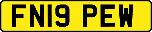 FN19PEW