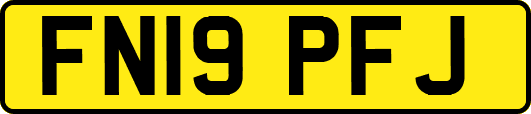 FN19PFJ