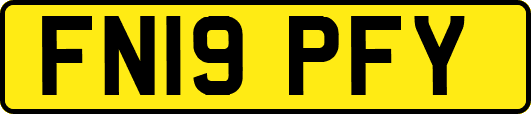 FN19PFY