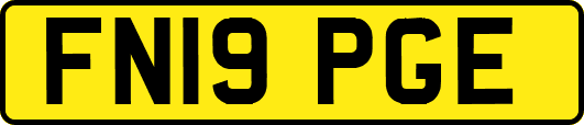 FN19PGE