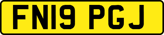 FN19PGJ
